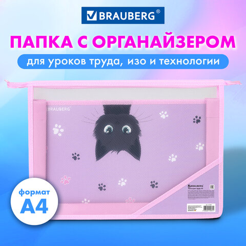 Папка для труда BRAUBERG А4, 2 отделения, пластик, молния сверху, органайзер, "Hide and seek", 273399
