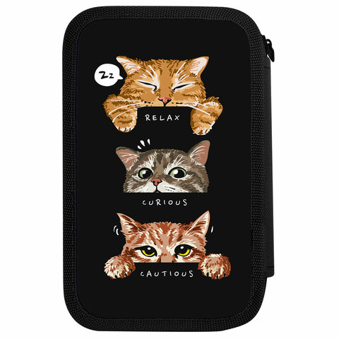 Пенал ПИФАГОР, 3 отделения, ламинированный картон, 19х11 см, "Cool trio", 273486