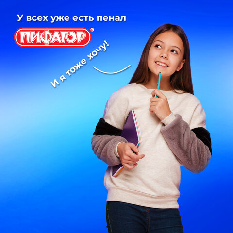 Пенал ПИФАГОР, 1 отделение, полиэстер, 19х13 см, "Красная панда", 272283