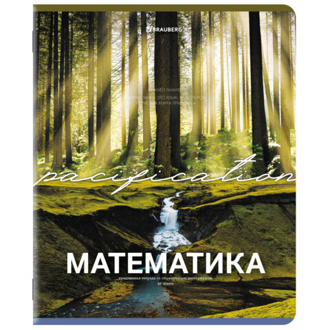 Тетради предметные, КОМПЛЕКТ 13 ПРЕДМЕТОВ, 48 л., обложка картон, BRAUBERG "КЛАССИКА ПРИРОДА", 405165