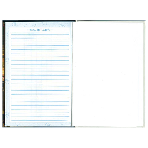 Дневник для музыкальной школы 140х210 мм, 48 л., твердый, BRAUBERG, справочный материал, "Концерт", 103279