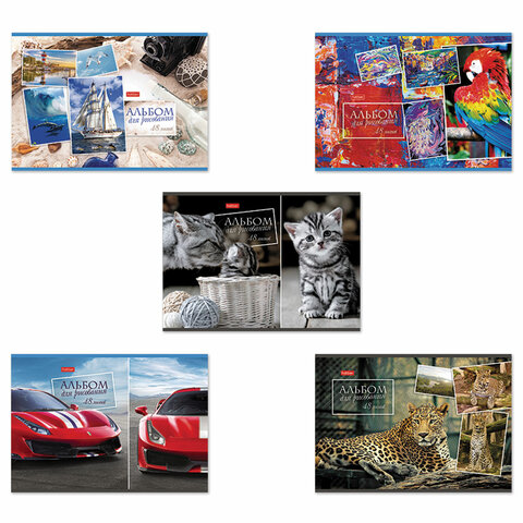 Альбом для рисования А4 48 л., скоба, обложка картон, HATBER, 205х290 мм, Ассорти, 062541, 48А4В