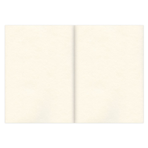 Скетчбук, слоновая кость 100 г/м2, 210х297 мм, 120 л., прошивка, BRAUBERG ART CLASSIC, 128960