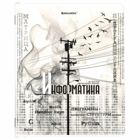 Тетради предметные, КОМПЛЕКТ 12 ПРЕДМЕТОВ, 48 л., матовая ламинация, BRAUBERG, "BLACK&WHITE", 404835