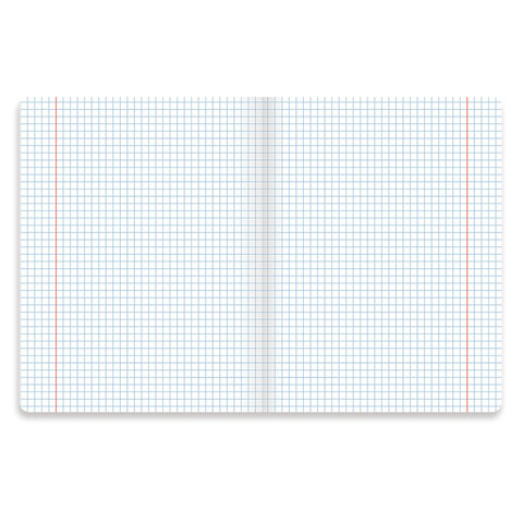 Тетрадь предметная "PASTEL" 48 л., SoftTouch, фольга, ОБЩЕСТВОЗНАНИЕ, клетка, BRAUBERG, 404310