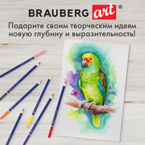 Карандаши художественные цветные акварельные BRAUBERG ART CLASSIC, 24 цвета, грифель 3,3 мм, 181530