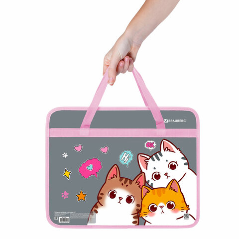 Папка на молнии с ручками BRAUBERG А4, 1 отделение, пластик, 80 мм, "Hi there", 273370