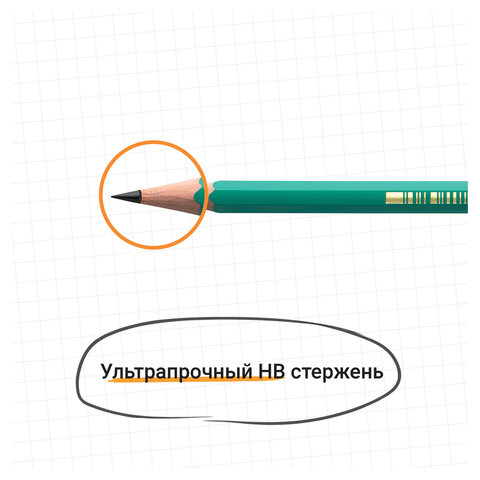 Карандаш чернографитный BIC, 1 шт., "Evolution", HB, с ластиком, корпус зеленый, 8803323