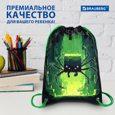 Мешок для обуви BRAUBERG PREMIUM, карман, подкладка, светоотражайка, 43х33 см, "Digital spider", 273444