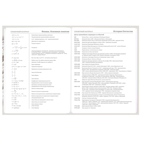 Дневник 5-11 класс 48 л., твердый, BRAUBERG, глянцевая ламинация, с подсказом, "Котик", 107188