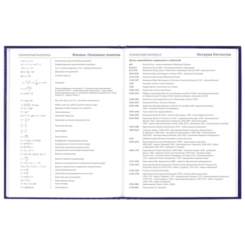 Дневник 5-11 класс 48 л., твердый, BRAUBERG, глянцевая ламинация, с подсказом, "Music", 106623