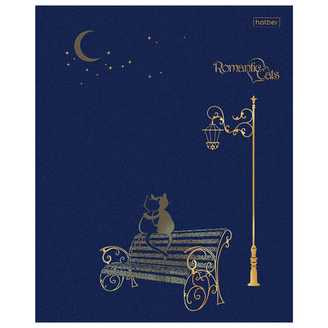 Тетрадь А5 48 л. HATBER скоба, клетка, матовая ламинация, 3D, "Romantic" (5 видов в спайке), 48Т5лофВ1