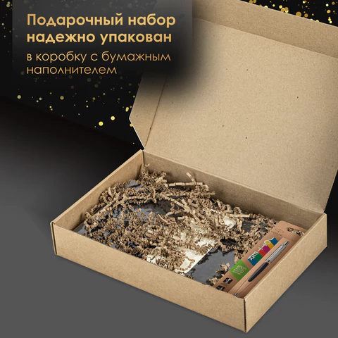 Ручка шариковая PARKER "Jotter Plastic CT", корпус черный, ежедневник А5 черный, золотой срез, пакет, 880894