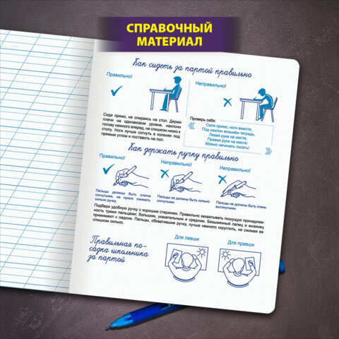 Тетрадь ПРОПИСЬ № 3 12 л. косая линия с ДОПОЛНИТЕЛЬНОЙ ГОРИЗОНТАЛЬНОЙ, со справочным материалом, ЮНЛАНДИЯ, 404853