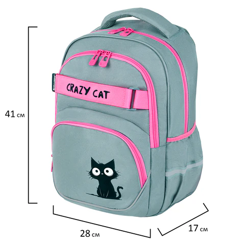 Рюкзак BRAUBERG MOTION, 2 отделения, 3 кармана, "Crazy cat", 41х28х17 см, 273115