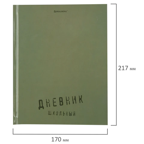 Дневник 1-11 класс 40 л., твердый, BRAUBERG, глянцевая ламинация, "Однотонный", 107607
