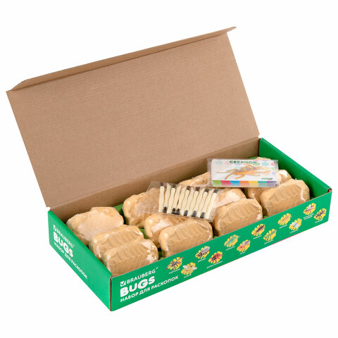 Набор для раскопок "Насекомые", 12 видов, карточки, инструменты, BRAUBERG KIDS, 665127