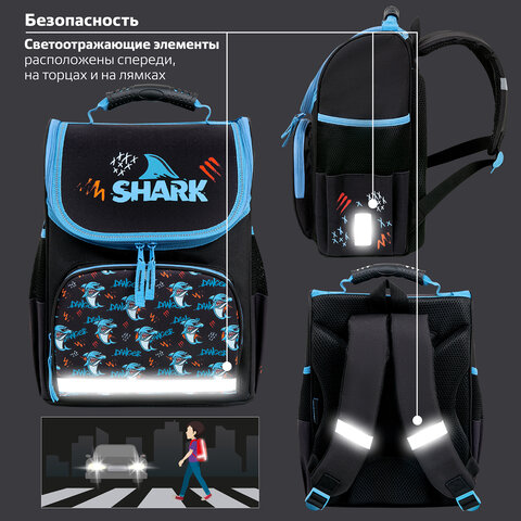 Ранец ПИФАГОР BASIC, 1 отделение, 3 кармана, эргономичная спинка, "Angry shark", 35х28х18 см, 272044