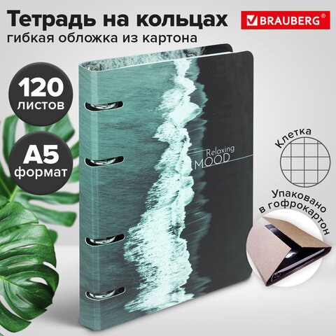 Тетрадь на кольцах А5 160х212 мм, 120 листов, картон, матовая ламинация, клетка, BRAUBERG, "Relax", 404725