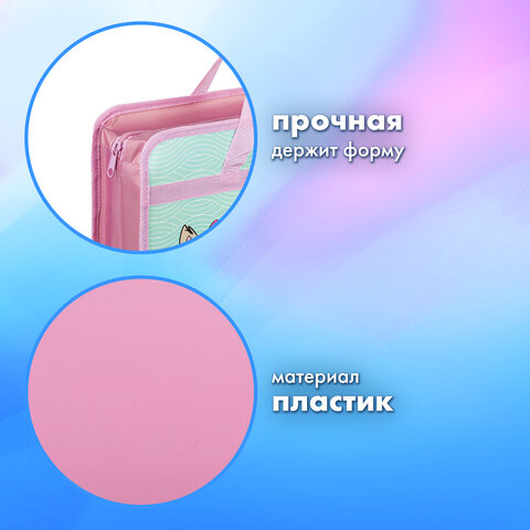 Папка на молнии с ручками BRAUBERG А4, 1 отделение, пластик, 80 мм, "BEST PALS", 271467