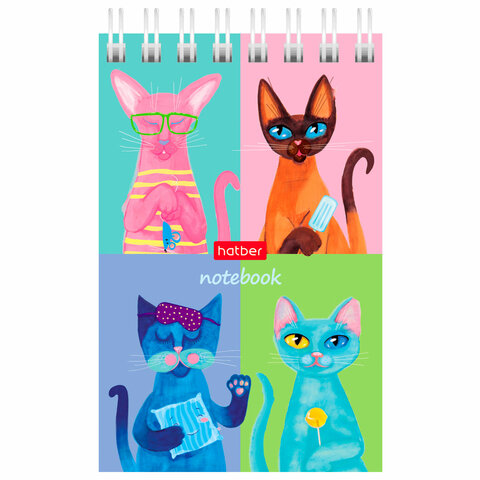 Блокнот МАЛЫЙ ФОРМАТ А7 65х100 мм, 40 л., гребень, картон, клетка, дисплей, HATBER, Ассорти, 031285, 40Б7B1гр