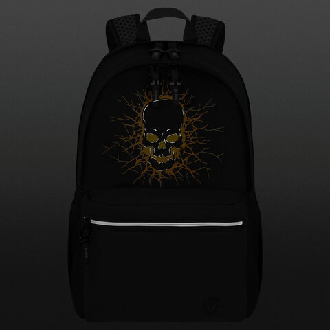 Рюкзак BRAUBERG FASHION CITY универсальный, 2 отделения, "Skull", черный, 46х31х15 см, 272572