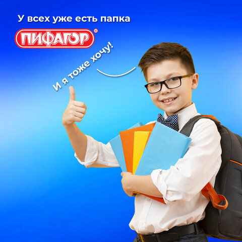 Папка для тетрадей ПИФАГОР А4, 1 отделение, картон/пластик, на молнии, "Sharp sword", 273342