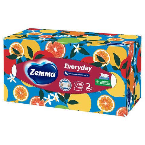 Салфетки косметические 2-слойные в картонном коробе, 250 штук, ZEMMA/ZEWA Everyday, 86791