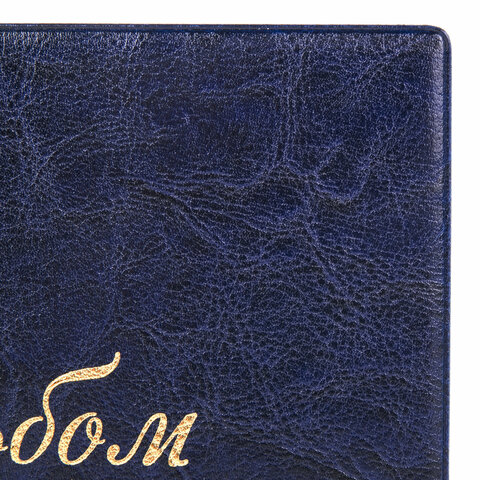 Альбом для монет и купюр на винтах универсальный, 224х224 мм, на 216 монет до D-45 мм, выдвижные карманы, синий, "ДПС", 2855-201