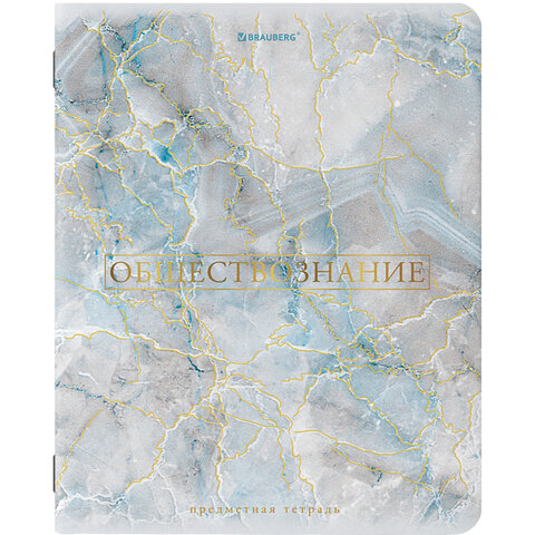 Тетради предметные со справочным материалом, КОМПЛЕКТ 10 ПРЕДМЕТОВ, 48 л., SoftTouch, фольга, BRAUBERG, "PASTEL", 404031
