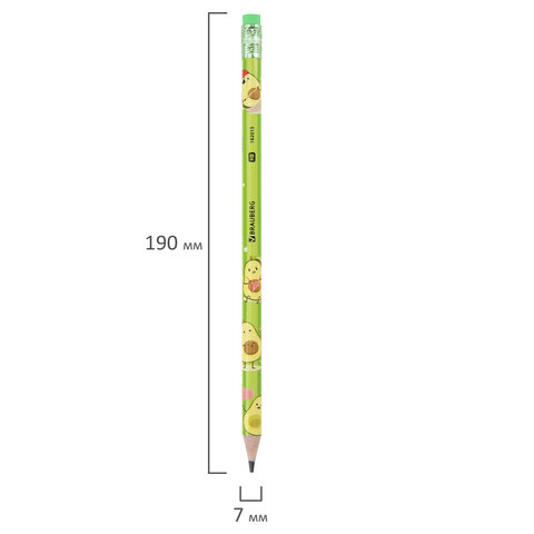 Карандаш чернографитный с принтом BRAUBERG "AVOCADO", 1 шт., HB, с ластиком, корпус ассорти, 182015