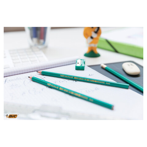 Карандаш чернографитный BIC, 1 шт., "Evolution", HB, с ластиком, корпус зеленый, 8803323