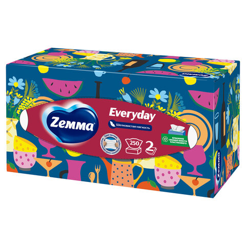 Салфетки косметические 2-слойные в картонном коробе, 250 штук, ZEMMA/ZEWA Everyday, 86791