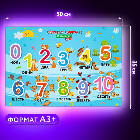 Настольное покрытие BRAUBERG KIDS для труда и творческих занятий, ПВХ, "Numbers", 50х35 см, 272361