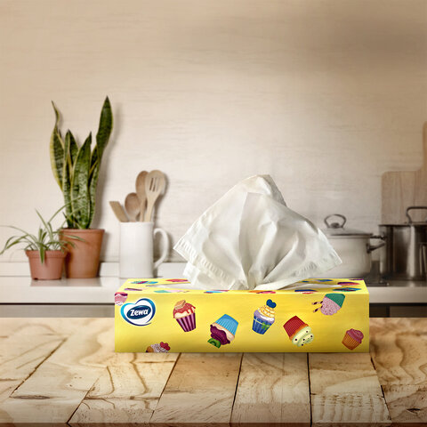Салфетки косметические 100 штук в картонном боксе, 2-слойные, ZEMMA/ZEWA Everyday, 62861