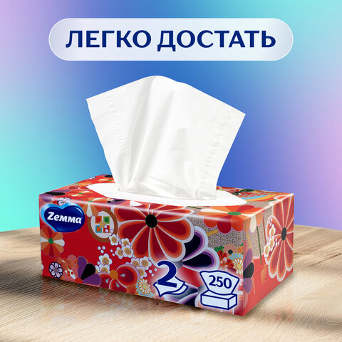 Салфетки косметические 2-слойные в картонном коробе, 250 штук, ZEMMA/ZEWA Everyday, 86791
