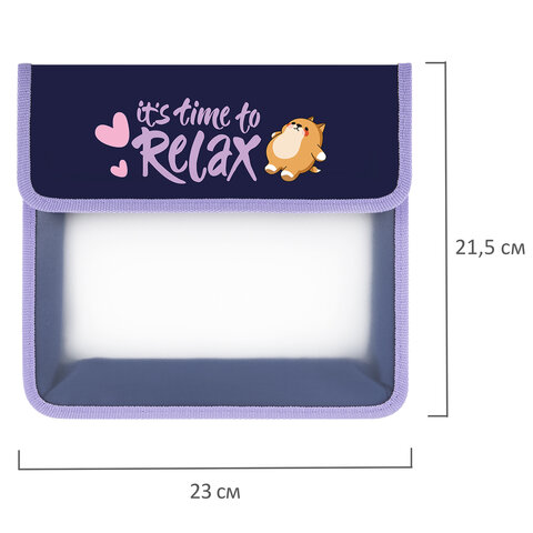 Папка для тетрадей ЮНЛАНДИЯ А5, пластик, 2 отделения, клапан на липучке, "Bored cat", 272189