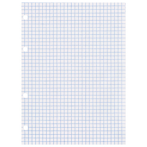 Сменный блок для тетради на кольцах, А5, 120 л., BRAUBERG, "Белый", 403260