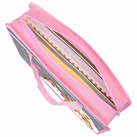 Папка на молнии с ручками BRAUBERG А4, 1 отделение, пластик, 80 мм, "Hi there", 273370