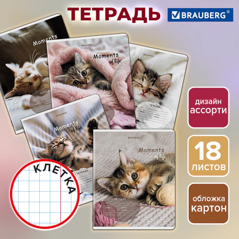 Тетрадь 18 л. BRAUBERG клетка, обложка картон, КОТЯТА, 107292
