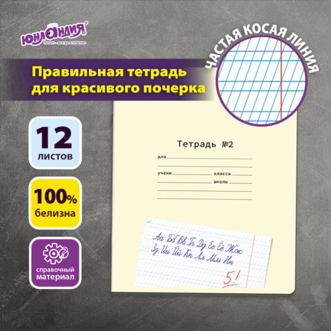 Тетрадь ПРОПИСЬ № 2 12 л. частая косая линия, со справочным материалом, ЮНЛАНДИЯ, 404852