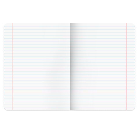 Тетради предметные, КОМПЛЕКТ 12 ПРЕДМЕТОВ, 48 л., SoftTouch, BRAUBERG, "ESTHETICS", 404833