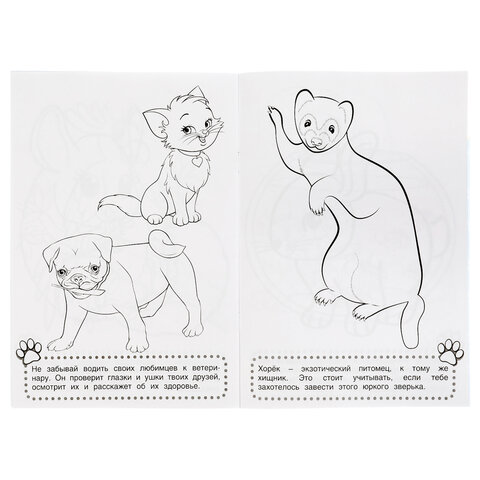 Книжка-раскраска "ПОПУЛЯРНЫЕ СЮЖЕТЫ" АССОРТИ, 145х210 мм, 16 страниц, "УМКА"