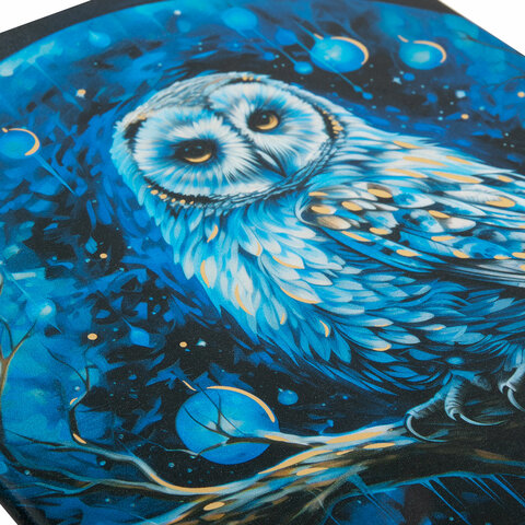 Дневник 1-11 класс 48 л., кожзам (гибкая), печать, фольга, BRAUBERG, "Совушка", 106919