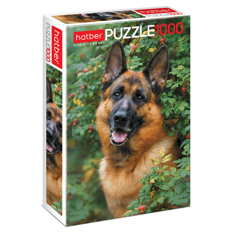 Пазл картонный 1000 элементов АССОРТИ, 10 дизайнов, 480х680 мм, HATBER