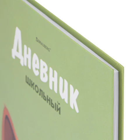 Дневник 5-11 класс 48 л., твердый, BRAUBERG, выборочный лак, с подсказом, "Суровый Кот", 107196