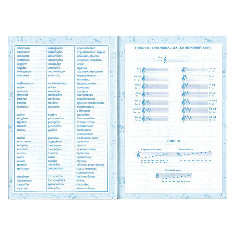 Дневник для музыкальной школы 140х210 мм, 48 л., твердый, BRAUBERG, справочный материал, "Музыка", 104975