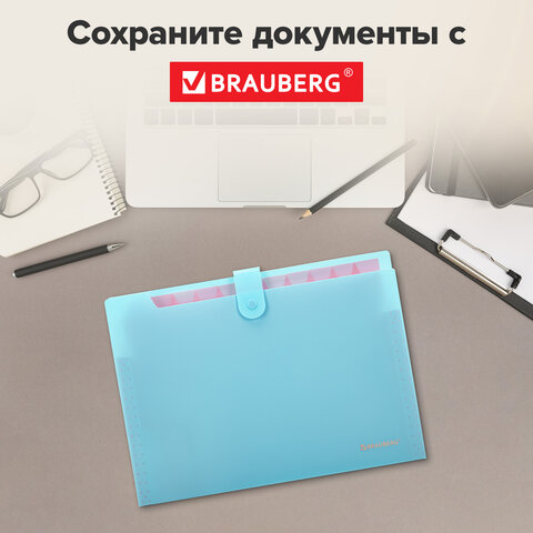 Папка-органайзер на кнопке 12 отделений, BRAUBERG "Extra", А4, голубая с розовым, 271932