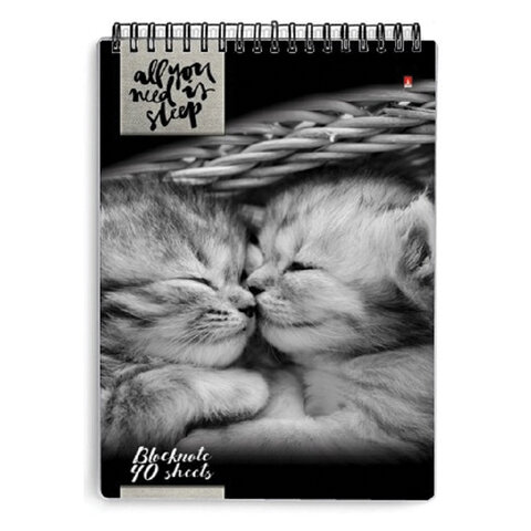 Блокнот А5, 40 л., гребень, ламинированный картон, клетка, Альт, "Кошки", (5 видов), 3-40-462