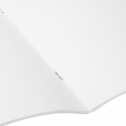 Блокнот для рисования А4, 20 л., скоба, обложка офсет, ПИФАГОР, 205х290 мм, "Городок" (2 вида), 115246